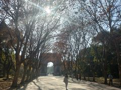 -蠡湖中央公园