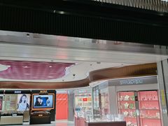 -日上免税行(浦东机场五店)