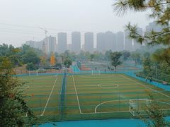 -东岳体育公园