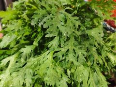 -周幺妹重庆老火锅(银泰城总店)