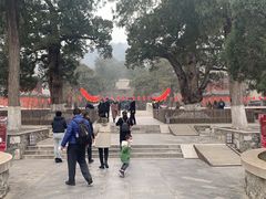 -大觉寺-停车场