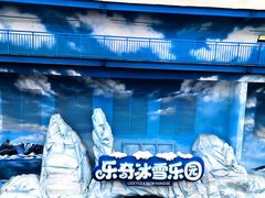 -海合安成都极地海洋公园