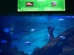 -常州海昌海洋探索馆