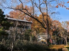 -泰州凤城河风景区-泰山公园