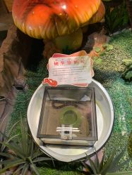 -酷嗒动物文化乐园(cutezoo西溪乐天城店)