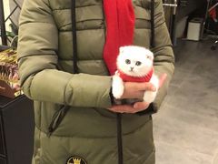 -小尾巴宠物店(万科·金域华庭店)