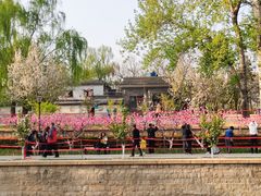 -元大都城垣遗址公园