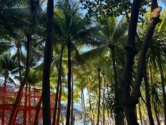 -海南分界洲岛旅游区