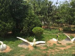 -前关湿地公园