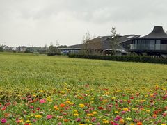 -莆鑫海鲜城(浏河店)