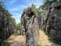 -寻龙山风景旅游区