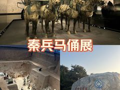 -秦始皇帝陵博物院-丽山园