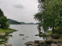 -宁波九龙湖开元度假村