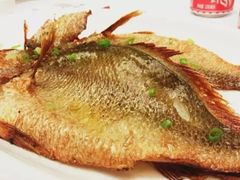 -金春禧(世茂国际广场店)