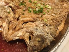 脆鳞鲈鱼-志明眷村·台式融合菜·宵夜