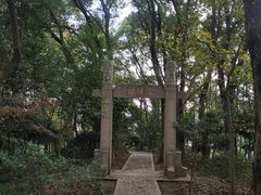 -上海佘山国家森林公园天马山园