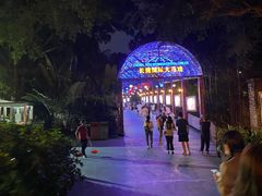 -广州长隆国际大马戏
