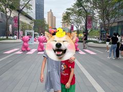 -东莞松山湖万象汇