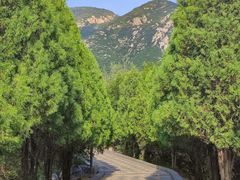 -禅宗少林·音乐大典