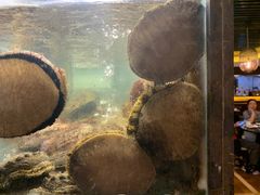 -甄御•海鲜新青岛菜(麦岛店)