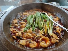 -都江堰石锅鱼
