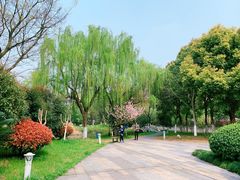 -玉山公园