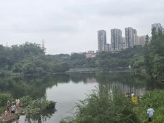 -重庆彩云湖湿地公园