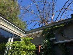 -铃木食堂(帽儿胡同店)