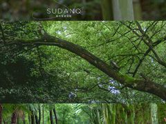 -潜山国家森林公园