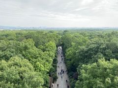 -灵谷景区