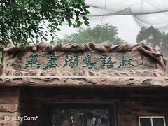 -燕塞湖鸟语林景区