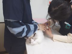 -格蕾宠物医院24H·猫科·肿瘤科·骨科中心(福州总院)