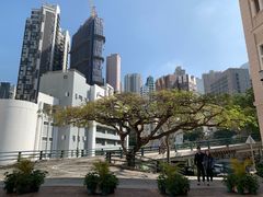 -香港大学