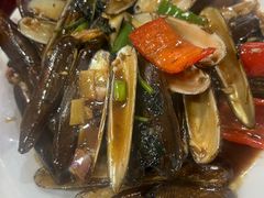 -水上鱼当家