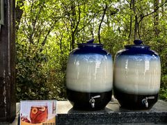 -天目湖涵田半山温泉