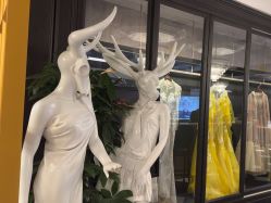 -鼎极摄影(世纪金源店)