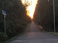 -上海长兴岛郊野公园