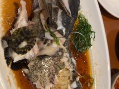 -糟粕醋·椰苑海南菜餐厅(亚龙湾天域酒店)