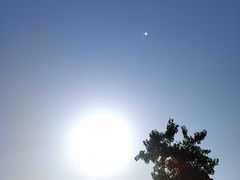 -吴草鸡爪오초닭발韩食堂(融恒盈嘉中心店)