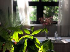 -蛋黄纪简餐厅