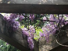 -白塘生态植物园