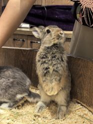 -Zoolung Zoolung动物主题公园(海信广场店)