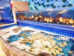 水产区-乔哥铭洋海鲜自助(皇城恒隆广场店)