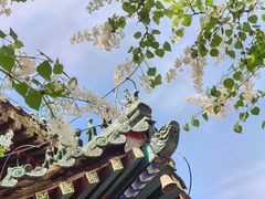 -潭柘寺景区