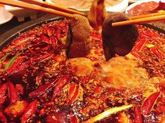 -一斗火锅·招财羊毛肚(泰吉滨江店)