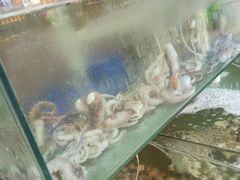 -四海鲜渔家菜(黄金海岸店)
