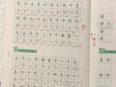 -赵汝飞练字硬笔书法(静安大融城校区)