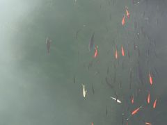 -北湖公园