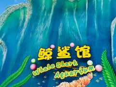 -珠海长隆海洋王国