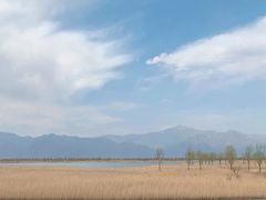 -野鸭湖国家湿地公园